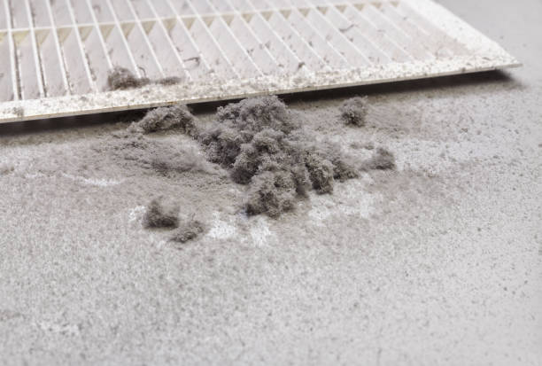 Best Emergency Air Duct Cleaning  in Nanticoke, PA