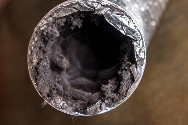 Best Best Air Duct Cleaning Company  in Nanticoke, PA