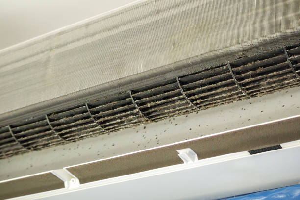 Best Air Duct Cleaning Near Me  in Nanticoke, PA